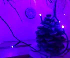 Szkoła Szydełkowania